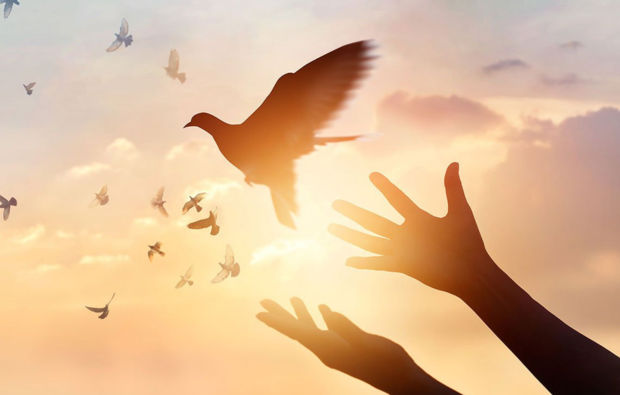 Association Paix et Développement (APEDEV) : Promouvoir la paix,  la cohésion sociale et du développement durable